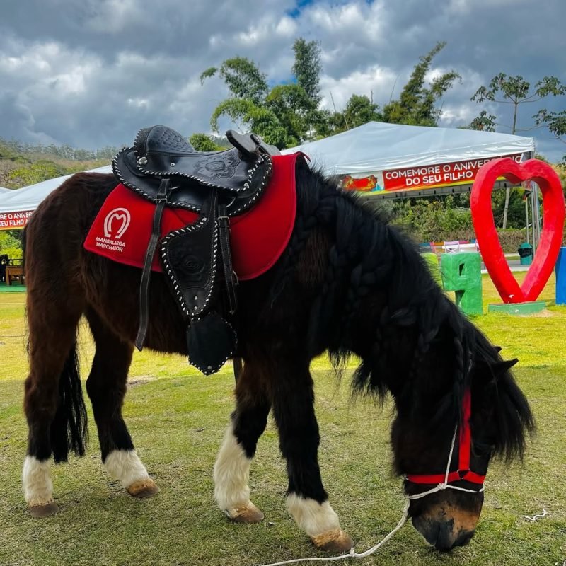 SaveClip.App_522589763_17872108932400105_6334824919686626974_n